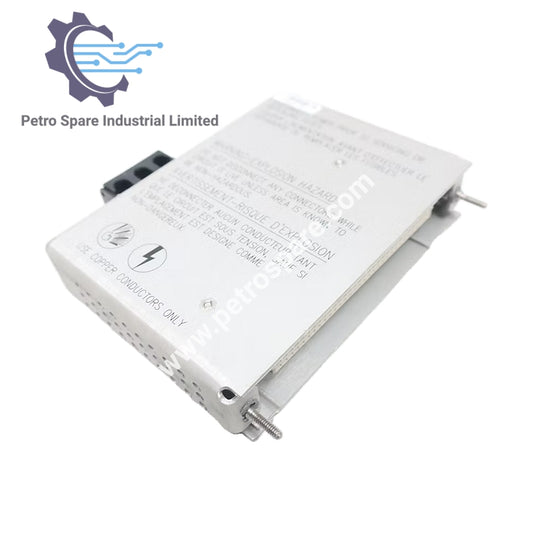 Bently Nevada 133300-01 | Low Voltage DC Power Input Module