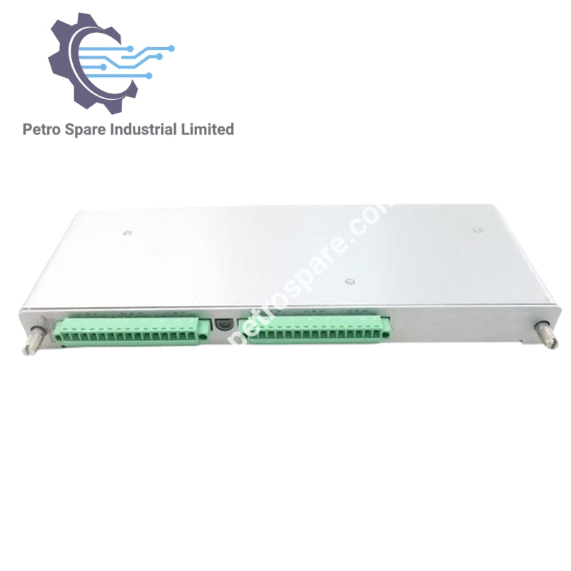 133819-01 - RTD/TC Non-Isolated I/O Module | Bently Nevada