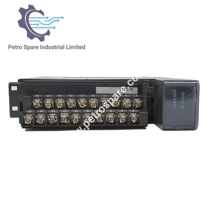 IC694ALG223 - GE Fanuc Analog Input Module,16 Channel