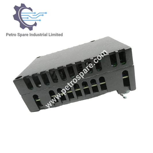 IS220PRTDH1B | GE Fanuc | RTD Input Pack